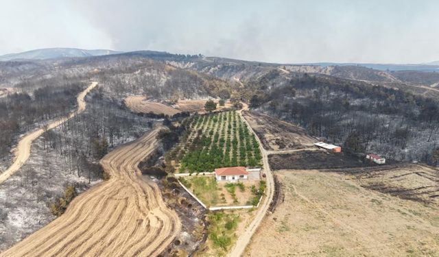 Gelibolu yangınında herkesin yüreğini ferahlatan görüntü
