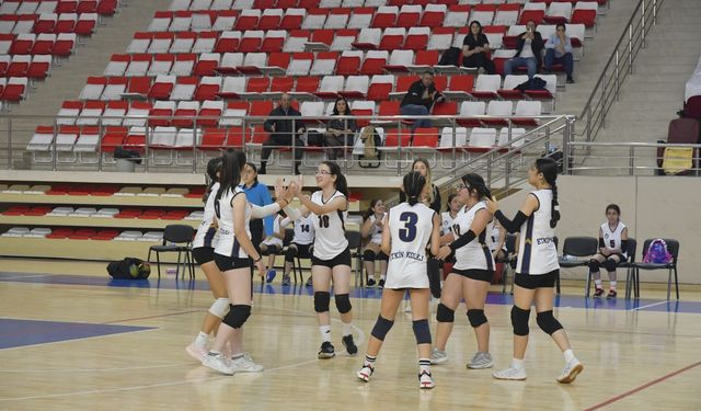 Filede start verildi