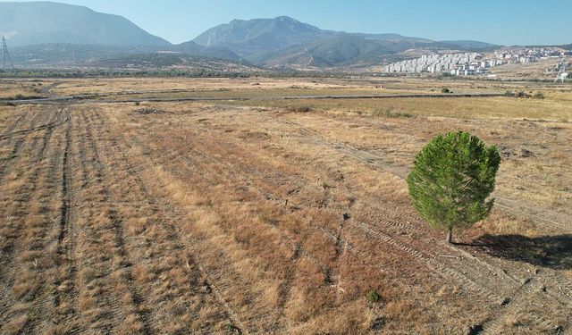 BYD'nin Manisa'daki fabrika sahasında sessizlik sürüyor