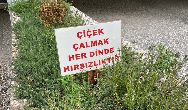 Eskişehir’de çiçek hırsızlığına ilginç önlem: “Çiçek çalmak her dinde hırsızlıktır”