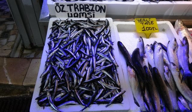 Balıkçılardan "Patlatılan insansız deniz araçları hamsiyi kaçırttı" iddiası