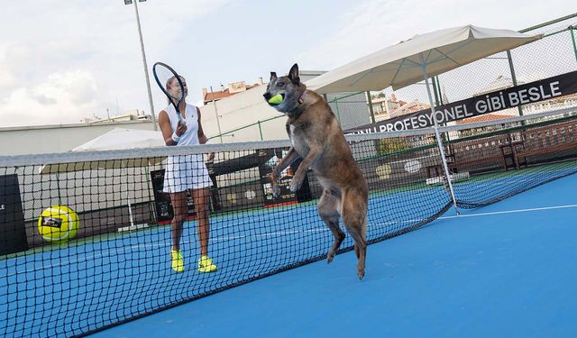 Milli Tenisçi Büyükakçay, patili dostu ile tenis oynadı