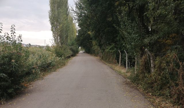 2Eylül yazdı, Tepebaşı Belediyesi o sokağı tertemiz yaptı