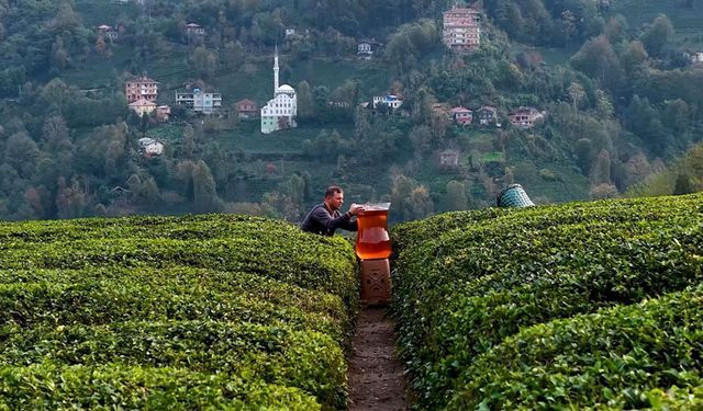 Rize’de dev çay bardağıyla yapılan çekim olay oldu