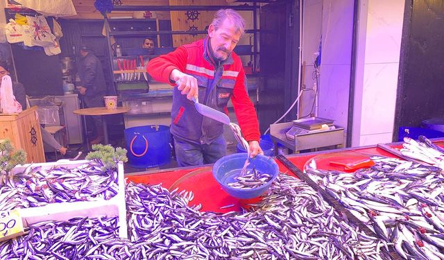 Hamsinin fiyatı düştü: Eskişehir'de vatandaş tezgahların yolunu tuttu