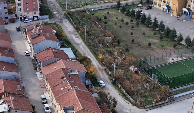 Eskişehir'de çöplüğü fidanlığa çevirdi