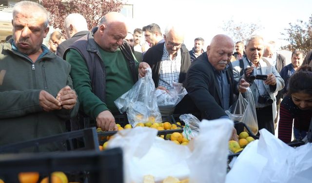 Mandalinanın fiyatı 2 TL'ye düşünce tonlarca ürünü vatandaşlara ücretsiz dağıttılar