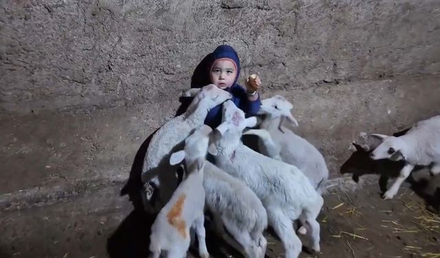 Eskişehir'de kuzuların arasında kalan minik Yusuf’un tatlı halleri gülümsetti