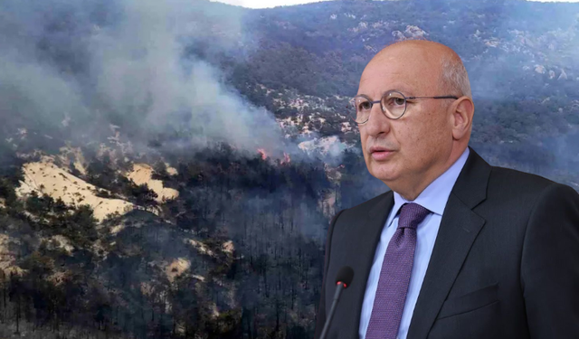 Seyitgazi orman yangını soruşturmasına takipsizlik kararı çıktı: CHP'li Çakırözer tepki gösterdi