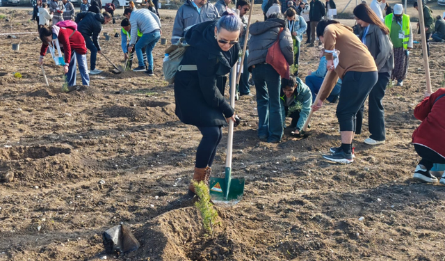 Eskişehir’de Yunus Emre Ormanı için ilk fidanlar toprakla buluştu