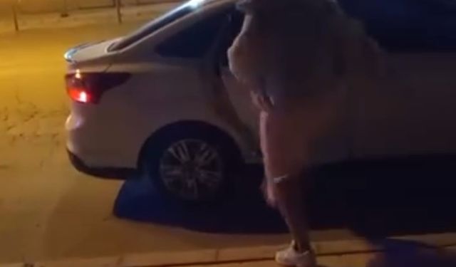 Bir kadın, tartıştığı şahsın arabasına saldırdı