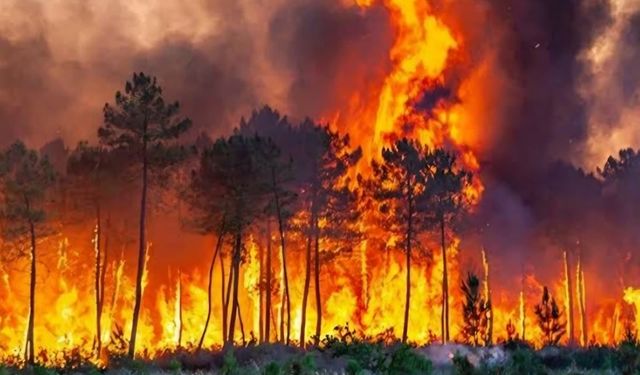 CHP Seyitgazi İlçe Başkanlığı, orman yangını soruşturmasındaki takipsizlik kararına tepki gösterdi