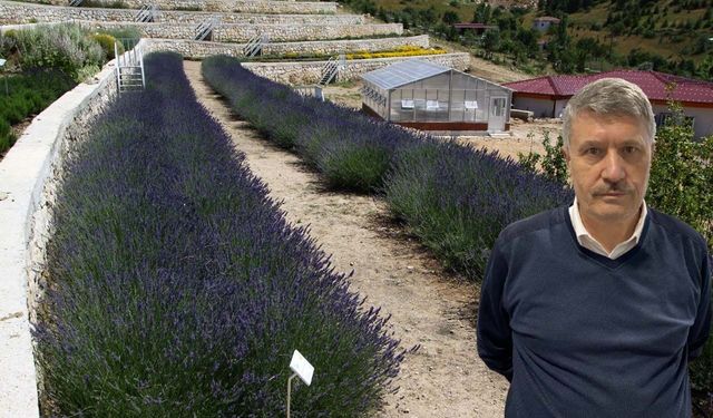 Türkiye'nin en zengin tıbbi aromatik merkezi Eskişehir'de