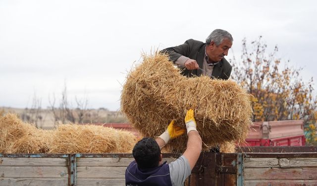 Eskişehir'in o ilçesinde 24 çiftçiyi sevindiren 16,6 tonluk sürpriz!