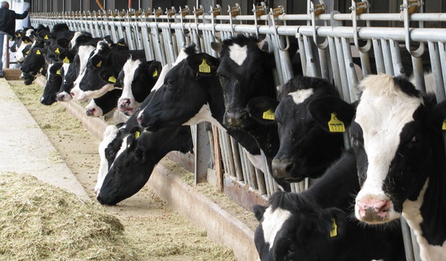 Üreticiye can suyu Eskişehir’den geldi: Han ve Mahmudiye’de 15 tonluk dev destek