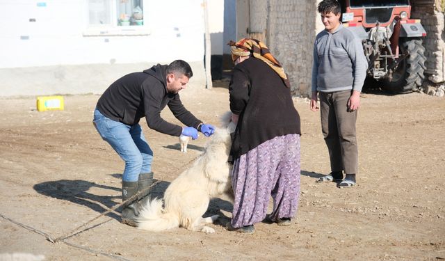 2025’te kırsala büyük destek: 725 dekar üretim, tonlarca yem desteği!