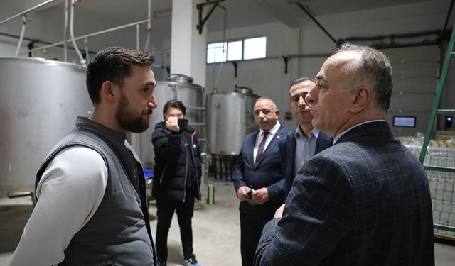 Sarıcakaya'da zeytin ve zeytinyağı üretimi hızla artıyor