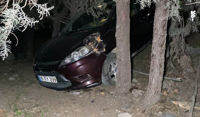 Kazadan sonra panik yaptı, alışveriş merkezinin bahçesine uçtu