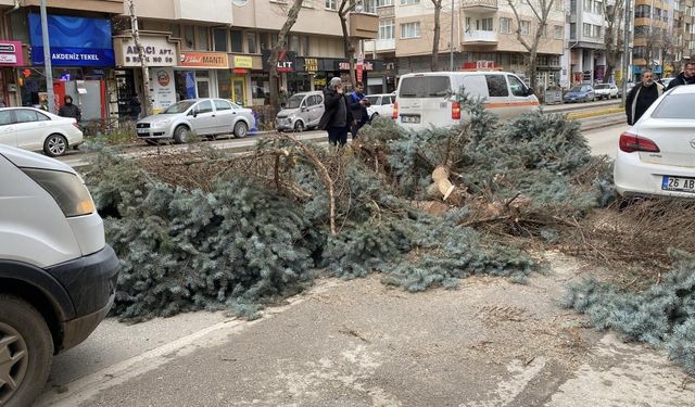 Eskişehir'de şiddetli fırtına devam ediyor: Ağaçlar devrildi!
