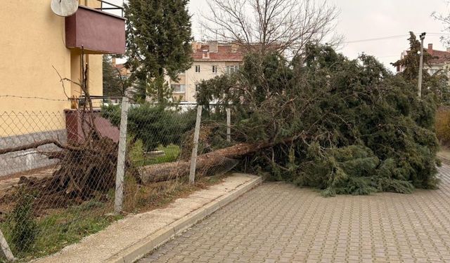 Eskişehir'de fırtına ortalığı yerle bir etti!