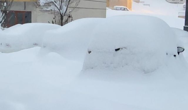 Yüksekova kara gömüldü: Kar kalınlığı yarım metreyi geçti