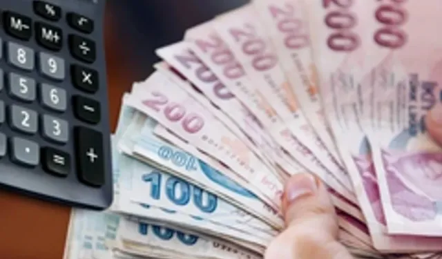 EKONOMİ