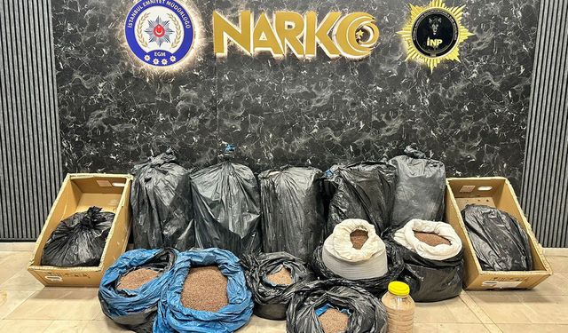 İstanbul’da kahveye gizlenmiş 374 kilo uyuşturucu ele geçirildi