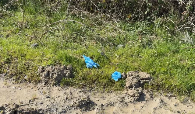 İstanbul'da dehşet: Kayıp Çinli iş insanı gömülü halde bulundu!