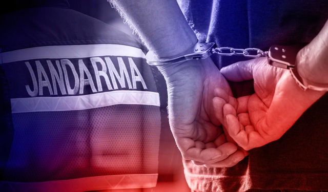 27 ilde silah kaçakçılarına operasyon: 259 şüpheli yakalandı