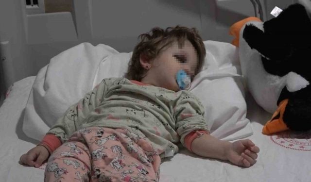 Yalova'da korkunç olay: Gürültü kavgası 14 aylık bebeği hastanelik etti!