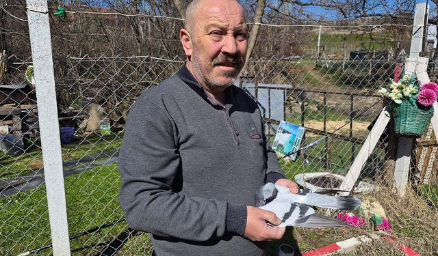 Çocukluğundan bu yana güvercin tutkunu olan adam: "Bir ev parasına kuş veren var"