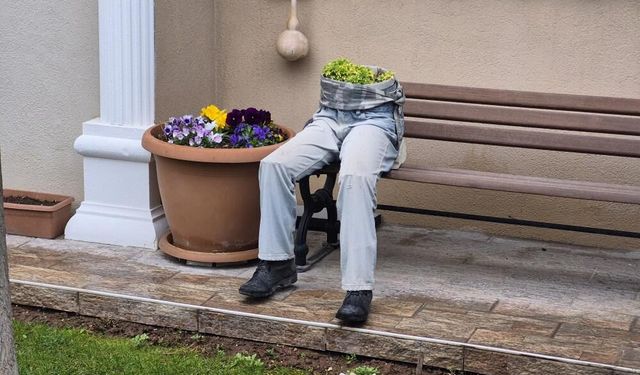 İlginç bahçe dekorasyonu hem ilginç, hem de ürkütücü