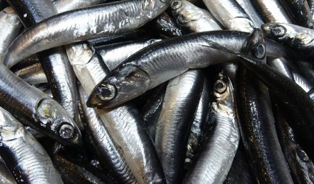 Savaş halindeki ülke ihracatta ilk sırayı aldı