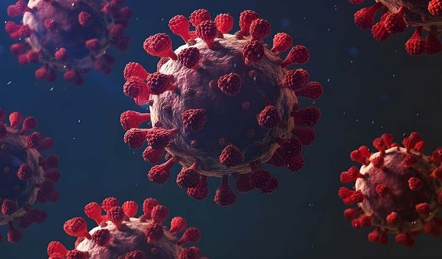 DSÖ, çok sayıda mutasyon taşıyan yeni Covid-19 varyantını izlemeye aldı