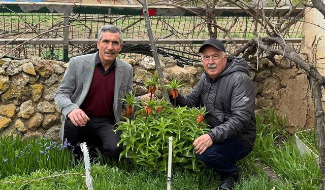 Eskişehir'de bu laleleri gözleri gibi koruyorlar