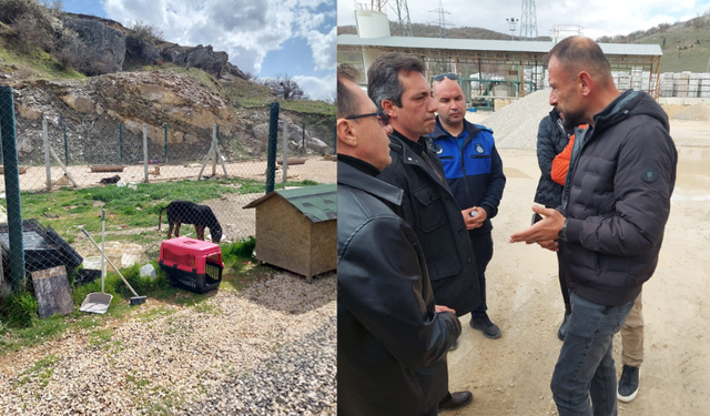 Zafer Partisi Eskişehir, Bozüyük Hayvan Bakımevi’nde yaşanan vahşete tepki gösterdi