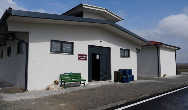 Eskişehir’de sokak hayvanları için Mama Üretim Merkezi açıldı