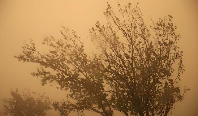 13 il için sarı uyarı: Toz taşınımı alarmı