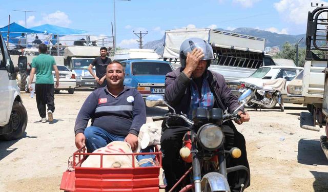 Kurbanlıkları sepetli motosikletlerle taşıdılar