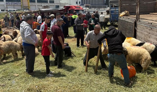 Kurban pazarlarında yoğunluk had safhaya çıktı