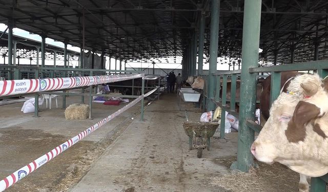 Eskişehir'de kurbanlık satıcılarından çadır ve altyapı tepkisi