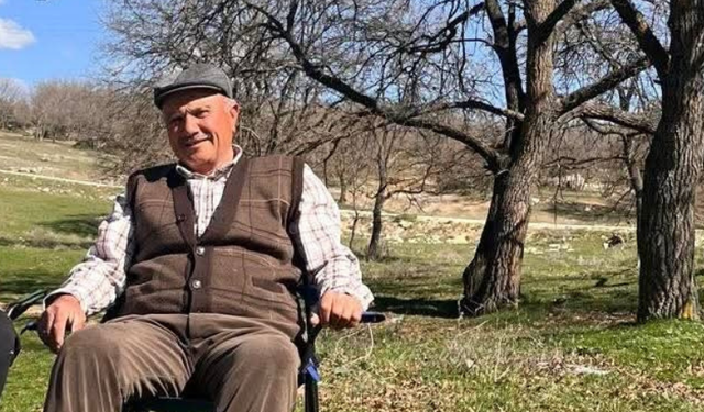 Eskişehir'de hayvanlarını otlatırken üstüne yıldırım düşen adam hayatını kaybetti!