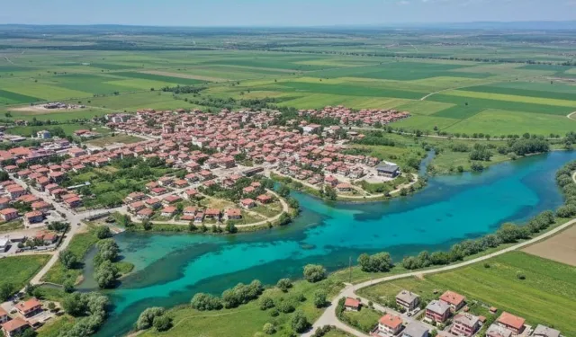 Çifteler Kaymakamlığı taşınmazların satışını yapacak