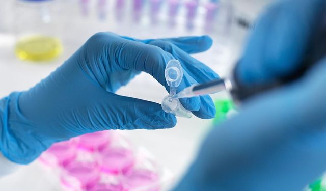 Michigan State Üniversitesi’nde "metanfetamin" şoku