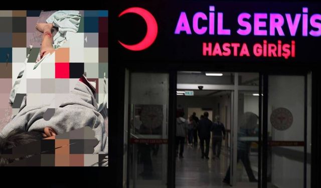 Van’da sokak köpeği dehşeti: 11 yaşındaki çocuk parçalanmaktan son anda kurtuldu
