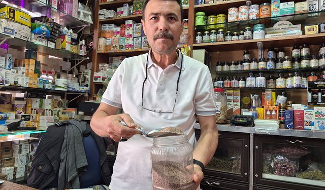 EKONOMİ