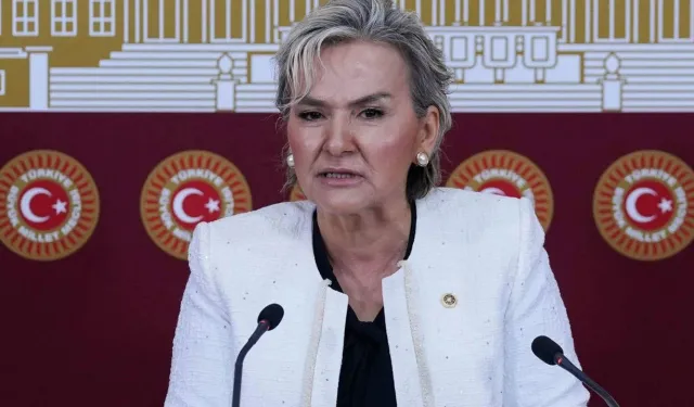 İstanbul Milletvekili Nimet Özdemir, CHP'den istifa etti