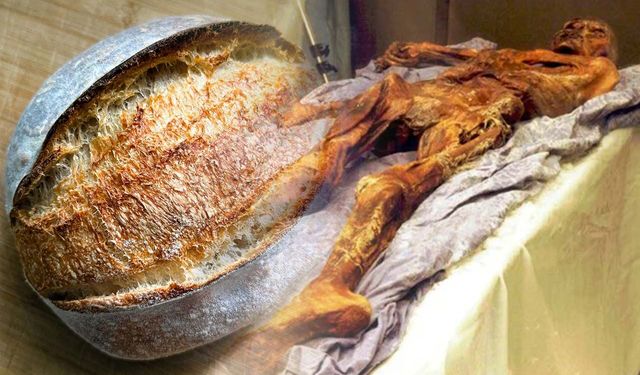 Bilim insanları buz adamın mayasıyla ekşi mayalı ekmek üretti