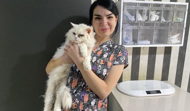 Evcil hayvanlarınızı evde tek bırakırken dikkat