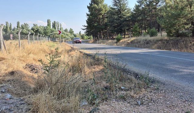 Eskişehir’de yol kenarındaki kurumuş otlar yangın tehlikesi oluşturuyor